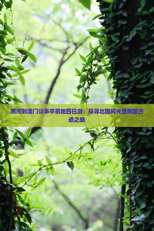 黑河到澳门议事亭前地四日游：探寻北国风光至南国古迹之旅