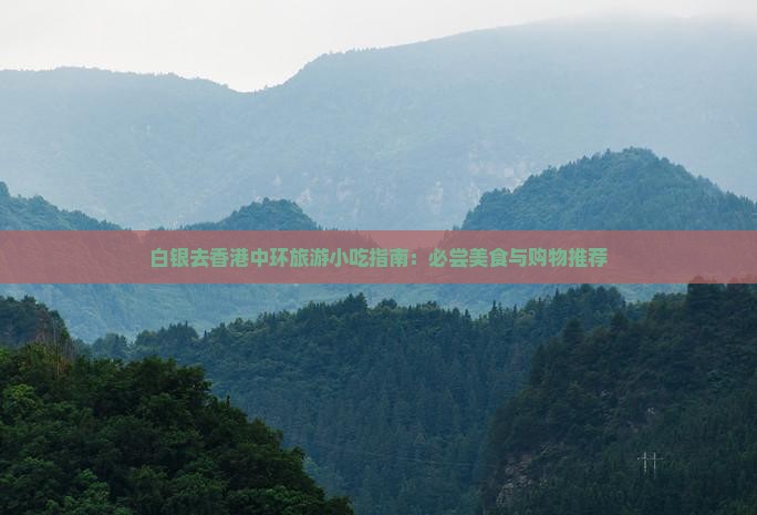 白银去香港中环旅游小吃指南：必尝美食与购物推荐