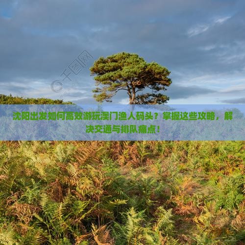 沈阳出发如何高效游玩澳门渔人码头？掌握这些攻略，解决交通与排队痛点！