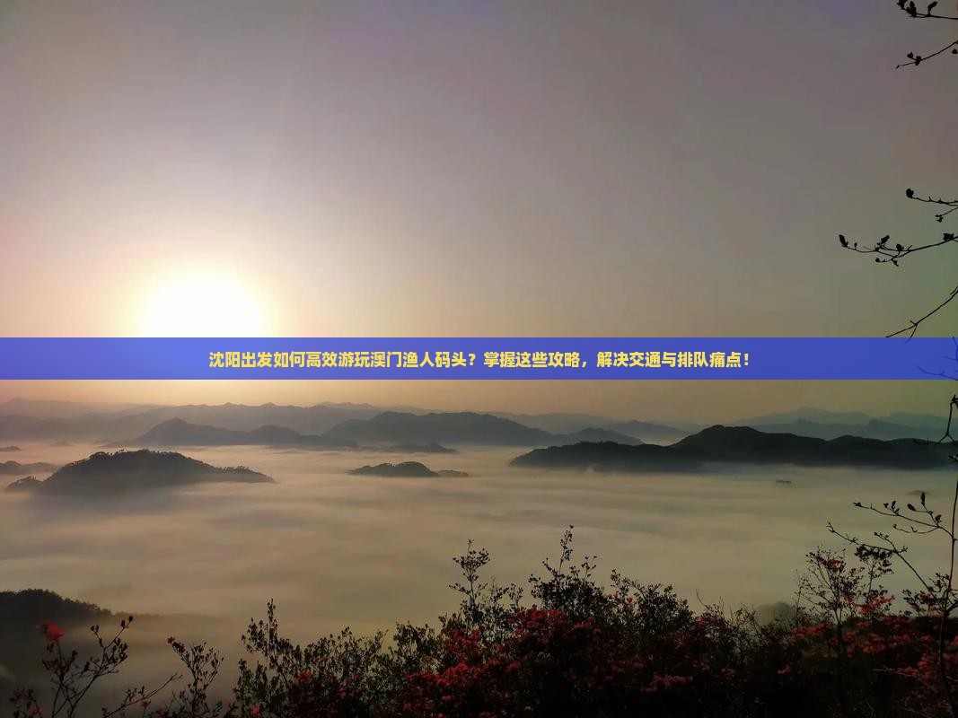 沈阳出发如何高效游玩澳门渔人码头？掌握这些攻略，解决交通与排队痛点！