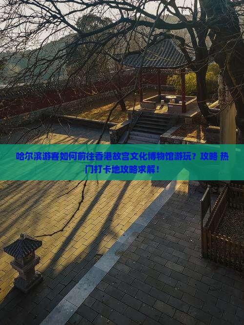 哈尔滨游客如何前往香港故宫文化博物馆游玩？攻略+热门打卡地攻略求解！