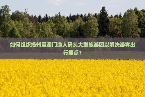 如何组织扬州至澳门渔人码头大型旅游团以解决游客出行痛点？