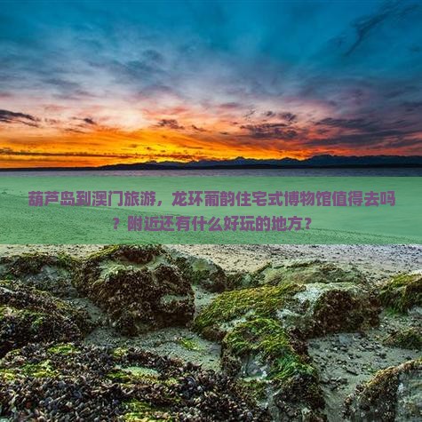 葫芦岛到澳门旅游，龙环葡韵住宅式博物馆值得去吗？附近还有什么好玩的地方？