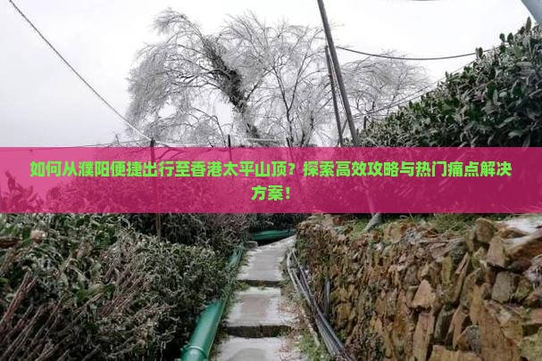 如何从濮阳便捷出行至香港太平山顶？探索高效攻略与热门痛点解决方案！