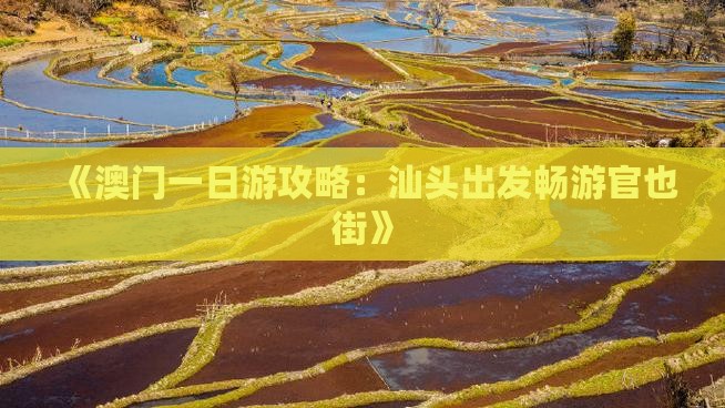 《澳门一日游攻略：汕头出发畅游官也街》