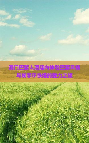 澳门巴黎人酒店内体验巴黎风情与埃菲尔铁塔的魅力之旅