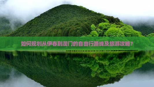 如何规划从伊春到澳门的自由行路线及旅游攻略？