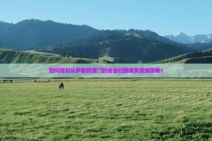 如何规划从伊春到澳门的自由行路线及旅游攻略？