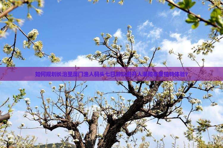 如何规划长治至澳门渔人码头七日游以避开人潮和享受独特体验？