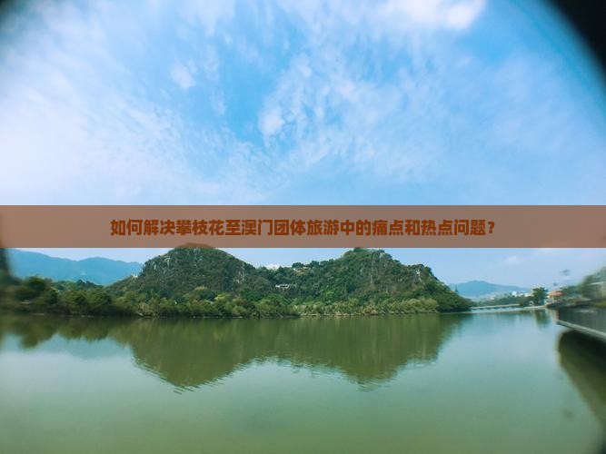 如何解决攀枝花至澳门团体旅游中的痛点和热点问题？