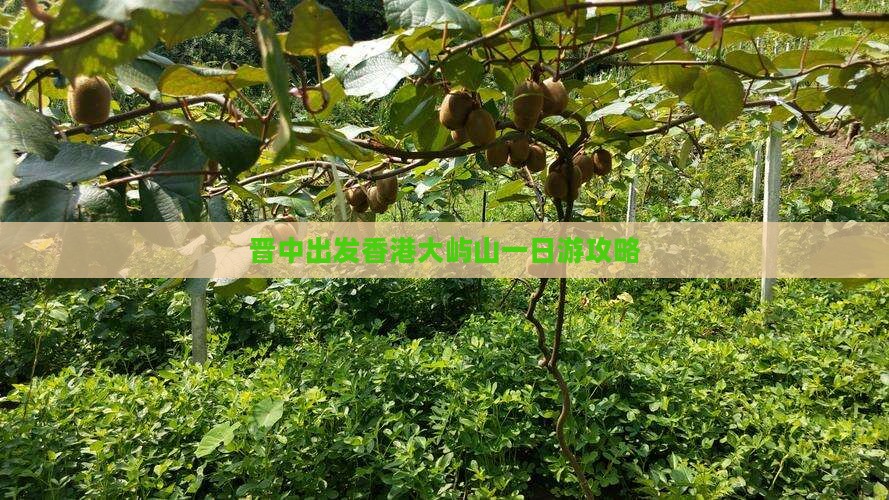 晋中出发香港大屿山一日游攻略