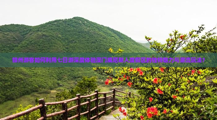 赣州游客如何利用七日游深度体验澳门威尼斯人度假区的独特魅力与潮流玩法？