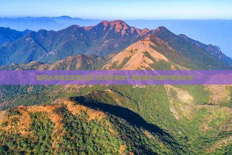如何从河池出发前往澳门议事亭前地？哪些旅行社提供相关服务？