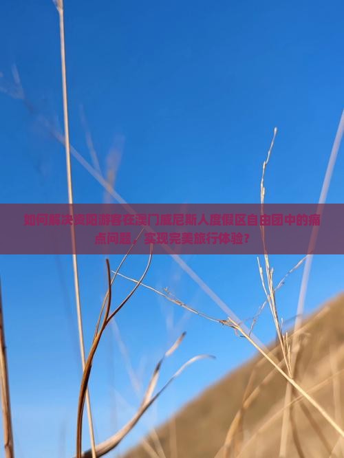 如何解决资阳游客在澳门威尼斯人度假区自由团中的痛点问题，实现完美旅行体验？
