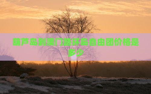 葫芦岛到澳门路环岛自由团价格是多少