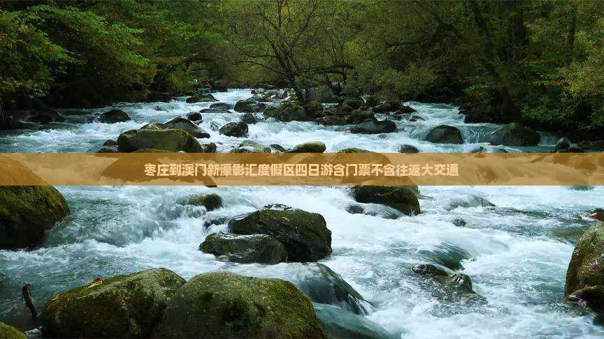 枣庄到澳门新濠影汇度假区四日游含门票不含往返大交通