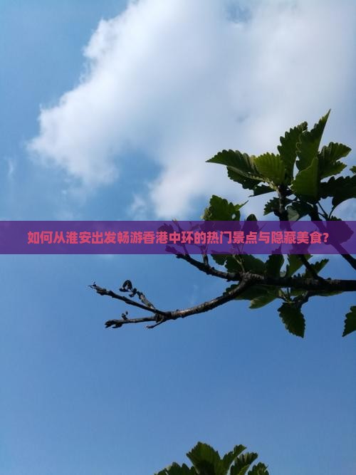 如何从淮安出发畅游香港中环的热门景点与隐藏美食？