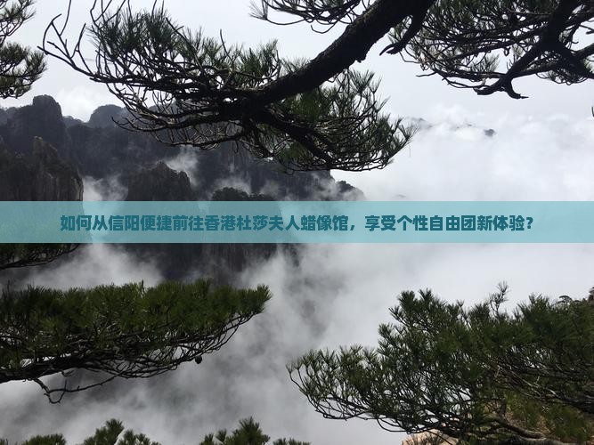 如何从信阳便捷前往香港杜莎夫人蜡像馆，享受个性自由团新体验？