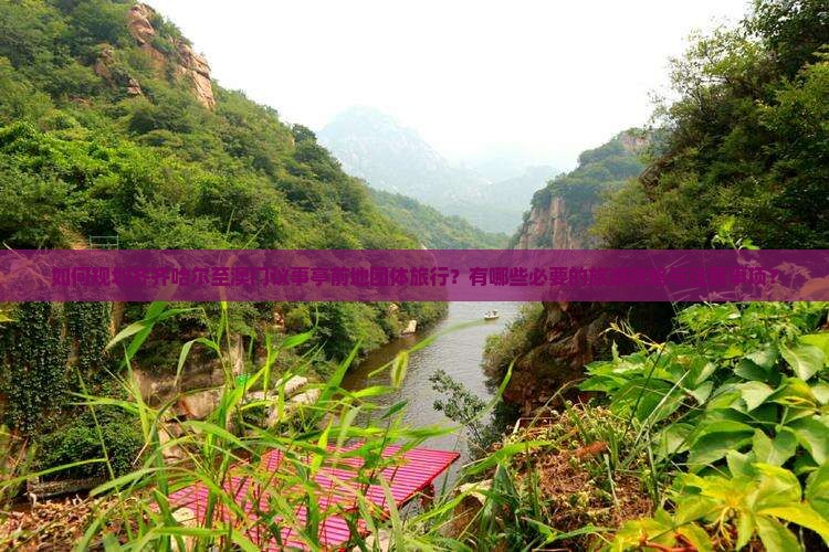 如何规划齐齐哈尔至澳门议事亭前地团体旅行？有哪些必要的旅游攻略与注意事项？