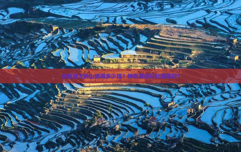 去香港大屿山旅游多少钱？神农架旅行社哪家好？