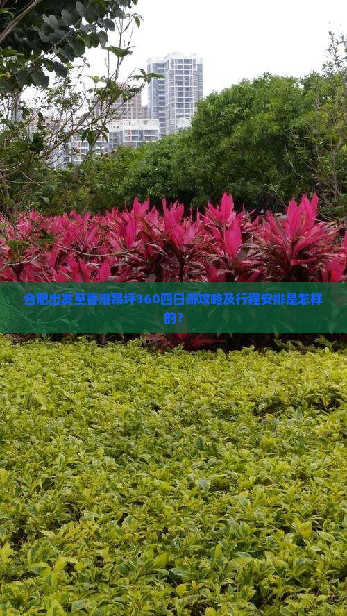 合肥出发至香港昂坪360四日游攻略及行程安排是怎样的？