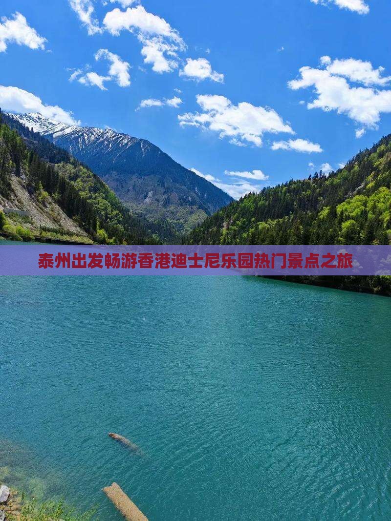 泰州出发畅游香港迪士尼乐园热门景点之旅