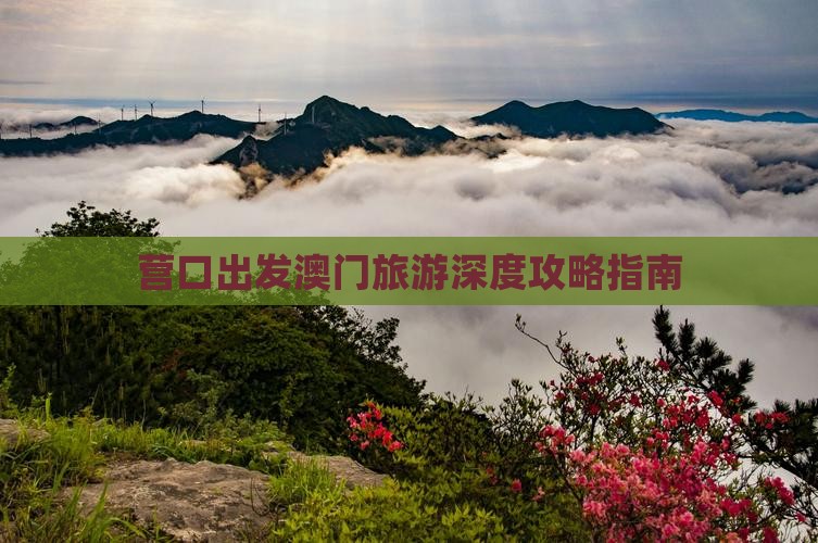 营口出发澳门旅游深度攻略指南