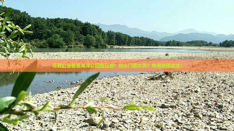马鞍山去香港海洋公园四日游？担心门票太贵？快用拼团试试！