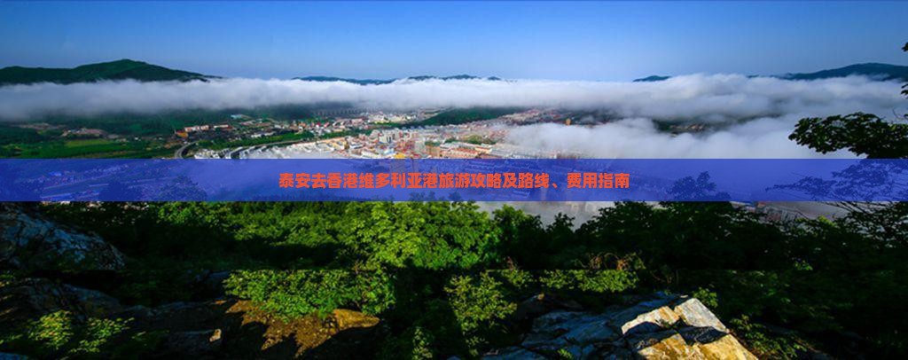 泰安去香港维多利亚港旅游攻略及路线、费用指南