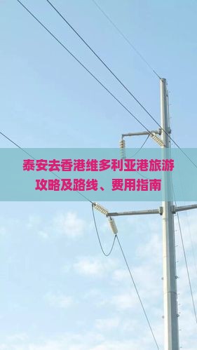泰安去香港维多利亚港旅游攻略及路线、费用指南