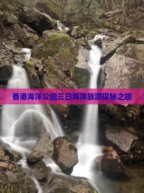 香港海洋公园三日海洋旅游探秘之旅