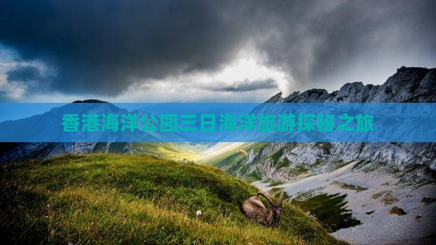 香港海洋公园三日海洋旅游探秘之旅