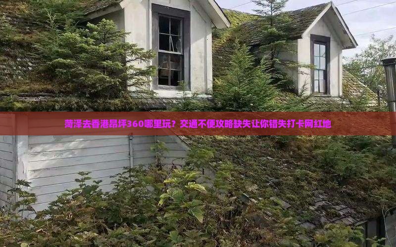 菏泽去香港昂坪360哪里玩？交通不便攻略缺失让你错失打卡网红地