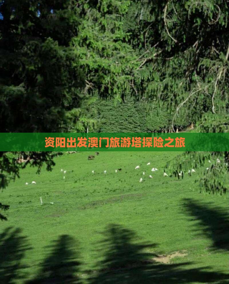 资阳出发澳门旅游塔探险之旅