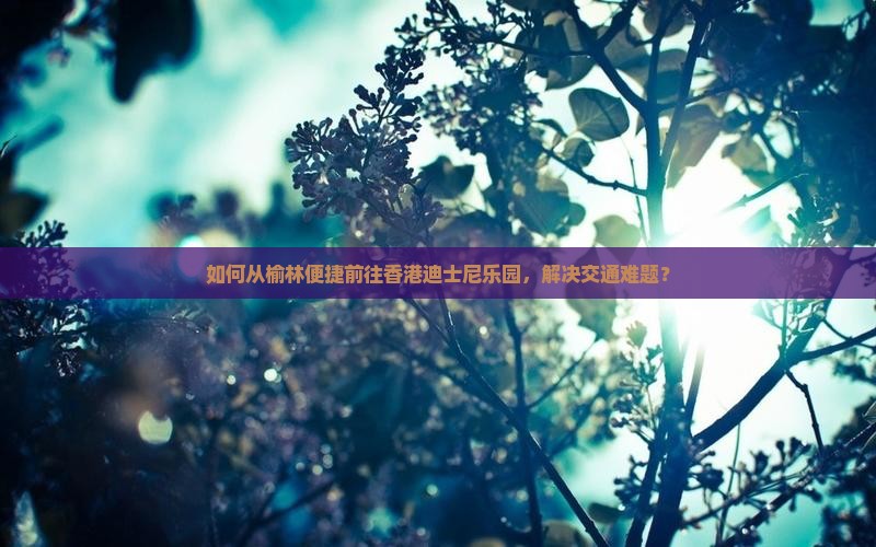 如何从榆林便捷前往香港迪士尼乐园，解决交通难题？