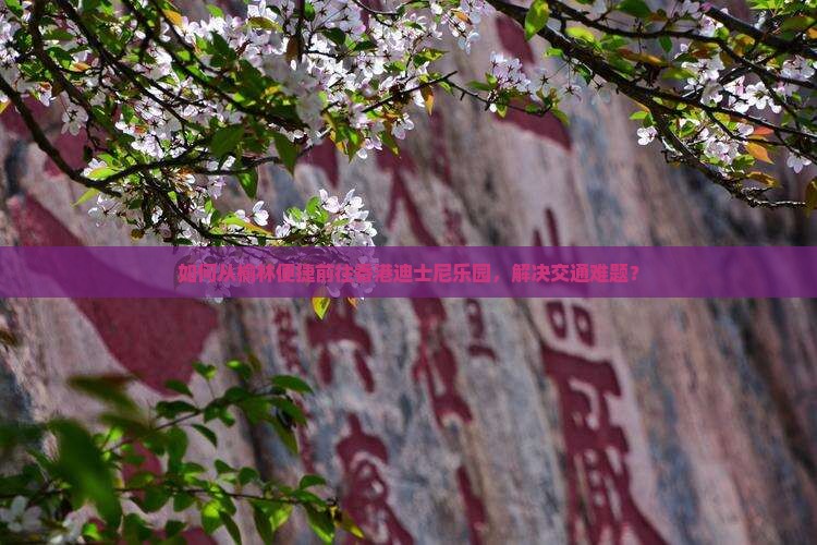 如何从榆林便捷前往香港迪士尼乐园，解决交通难题？
