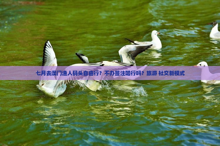 七月去澳门渔人码头自由行？不办签注啮行吗？旅游+社交新模式