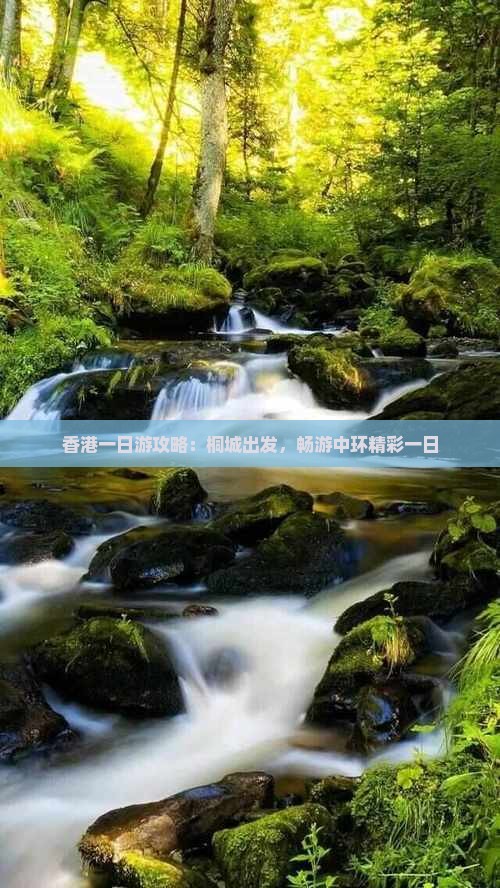 香港一日游攻略：桐城出发，畅游中环精彩一日