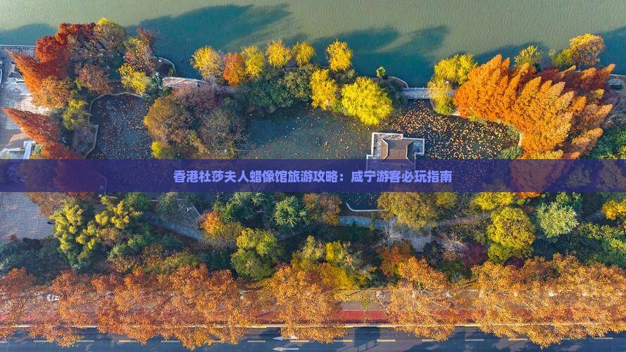 香港杜莎夫人蜡像馆旅游攻略：咸宁游客必玩指南