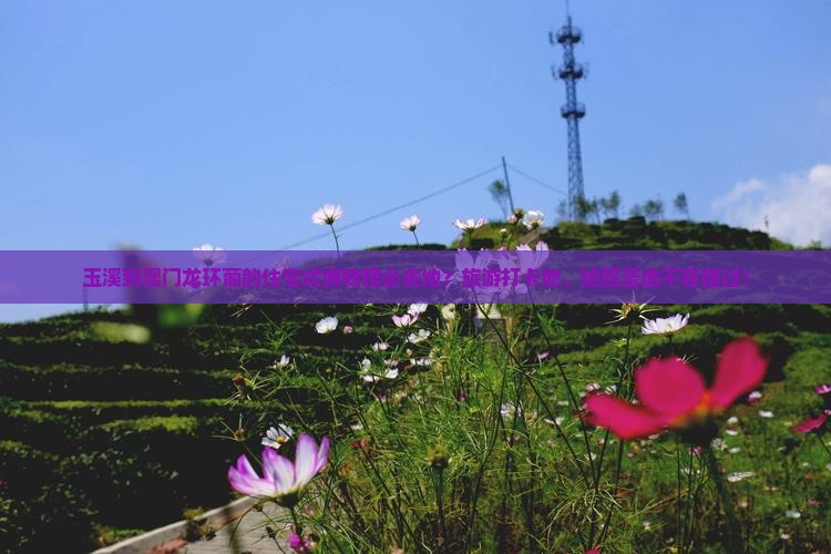玉溪到澳门龙环葡韵住宅式博物馆必去地？旅游打卡地、拍照圣地不容错过！