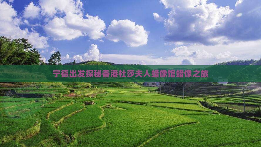 宁德出发探秘香港杜莎夫人蜡像馆蜡像之旅