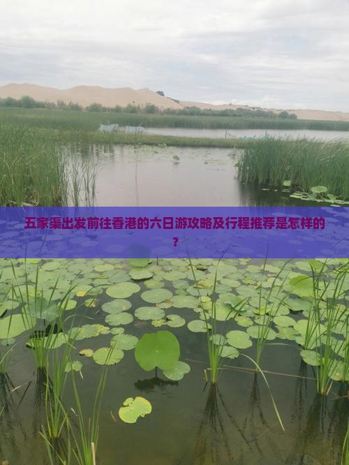 五家渠出发前往香港的六日游攻略及行程推荐是怎样的？