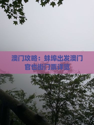 澳门攻略：蚌埠出发澳门官也街门票详览