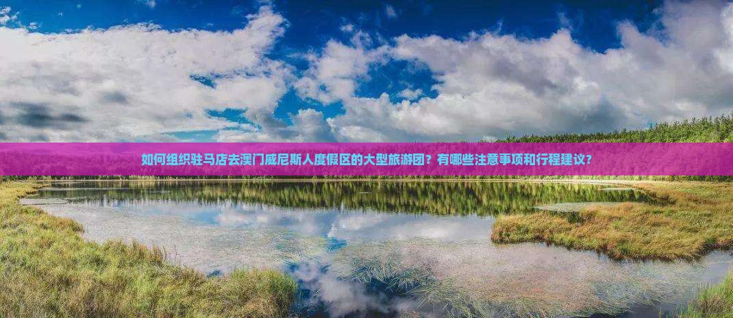 如何组织驻马店去澳门威尼斯人度假区的大型旅游团？有哪些注意事项和行程建议？