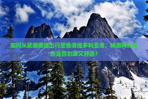 如何从武威便捷出行至香港维多利亚港，畅游网红景点是否划算又舒适？