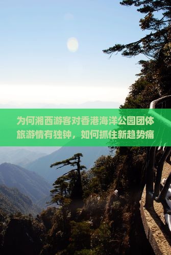 为何湘西游客对香港海洋公园团体旅游情有独钟，如何抓住新趋势痛点打造沉浸式体验？