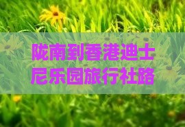 陇南到香港迪士尼乐园旅行社路线及费用指南