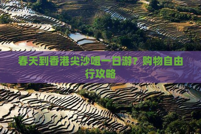 春天到香港尖沙咀一日游？购物自由行攻略