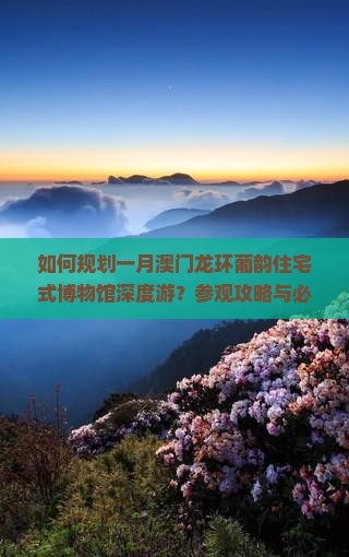 如何规划一月澳门龙环葡韵住宅式博物馆深度游？参观攻略与必体验活动推荐