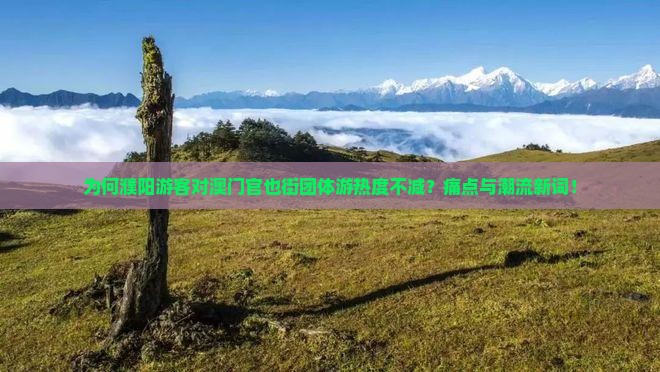为何濮阳游客对澳门官也街团体游热度不减？痛点与潮流新词！